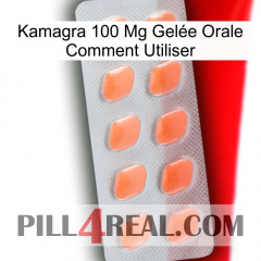 Kamagra 100 Mg Gelée Orale Comment Utiliser 26